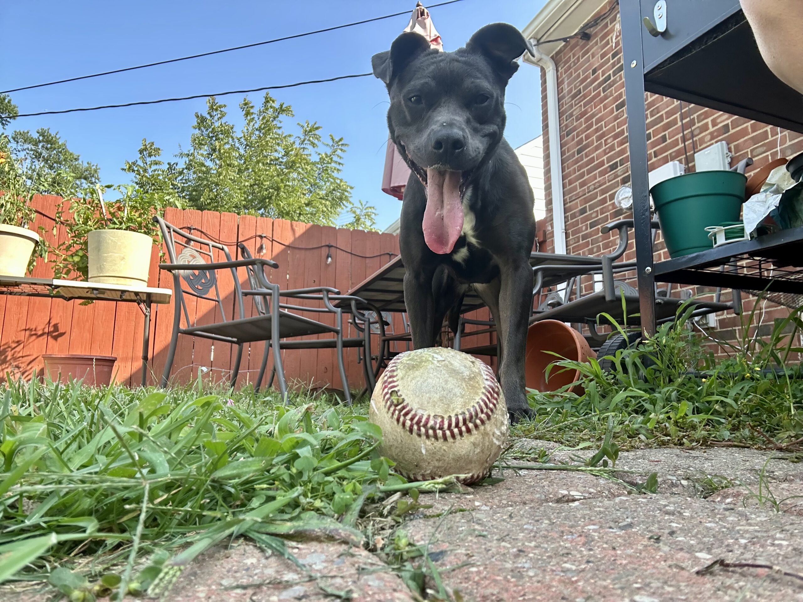 Lulu 2