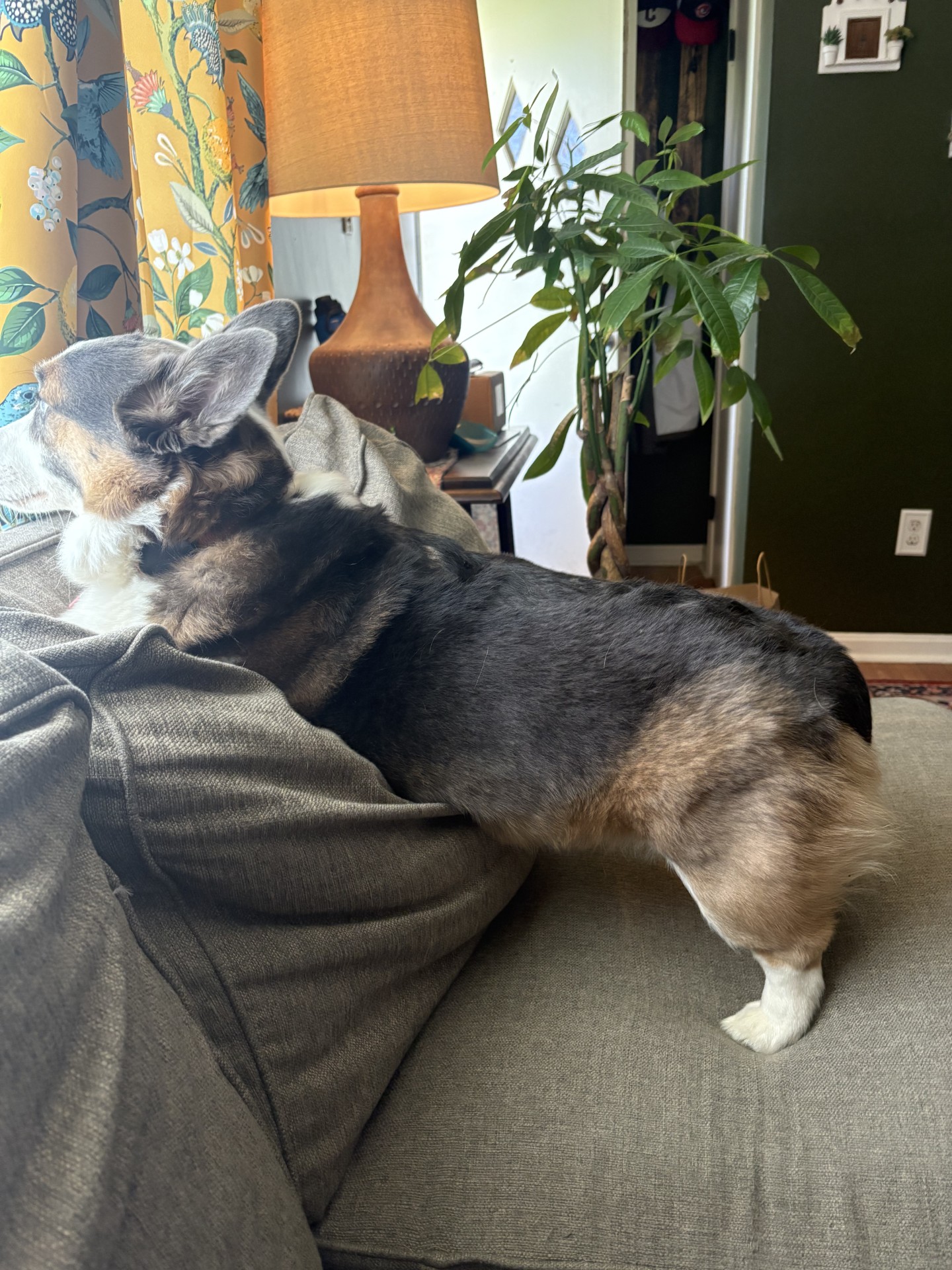 Max 3
