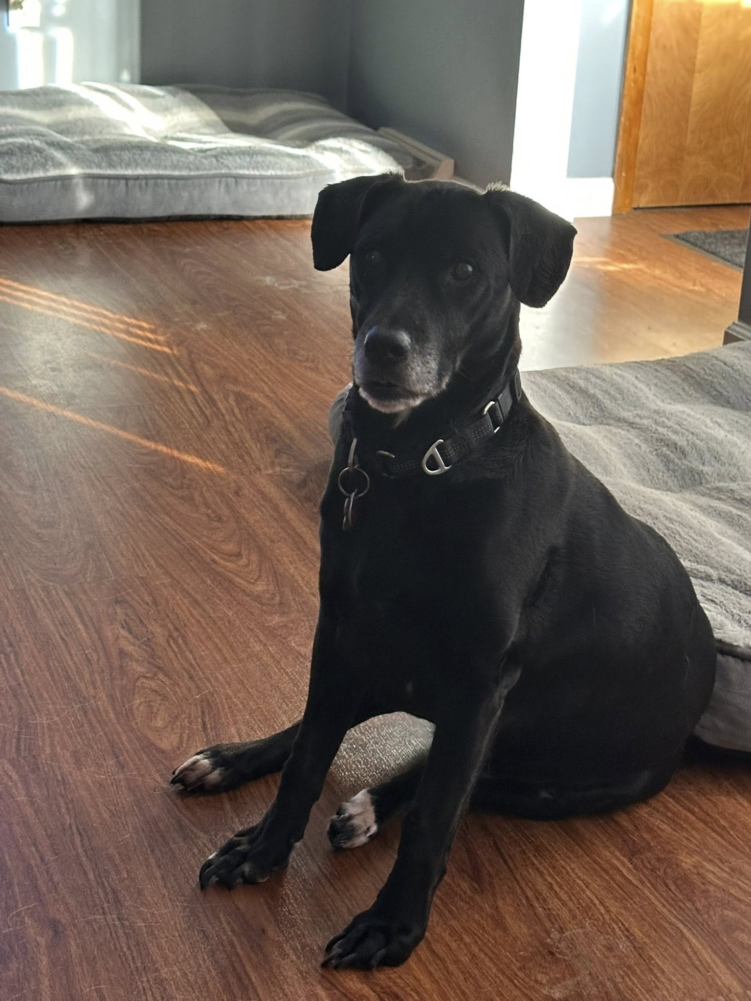 <strong>Smokey</strong>